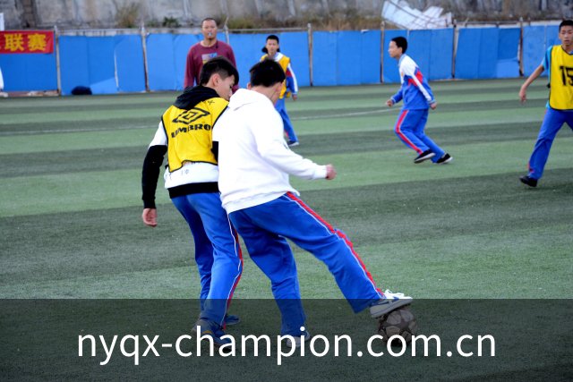 冠军(CHAMPION)官方网站 - 行业领先的体育数据平 APP